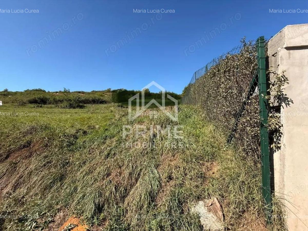 TEREN INTRAVILAN 1000MP, TOATE UTILITATILE PE TEREN, ZONA SCHIT, ALBA IULIA - 2