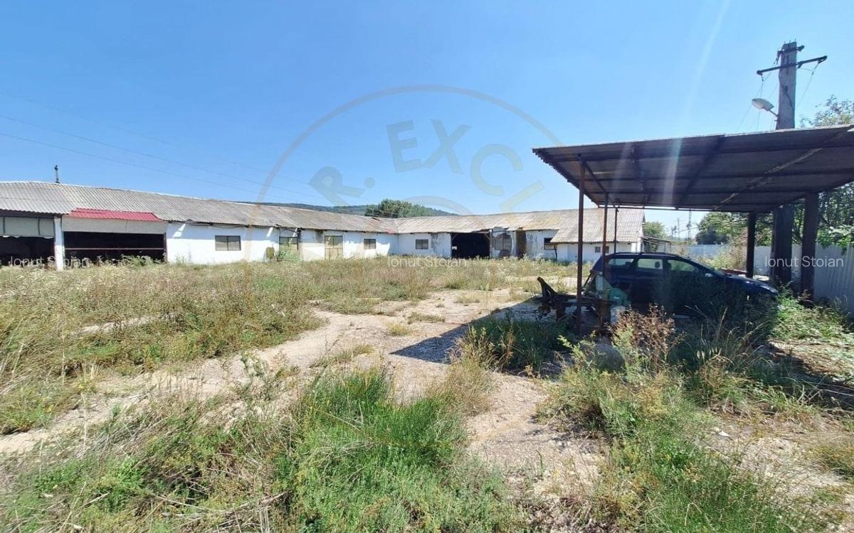 Proprietate industriala de vanzare - Hartiesti, jud. Arges - 2