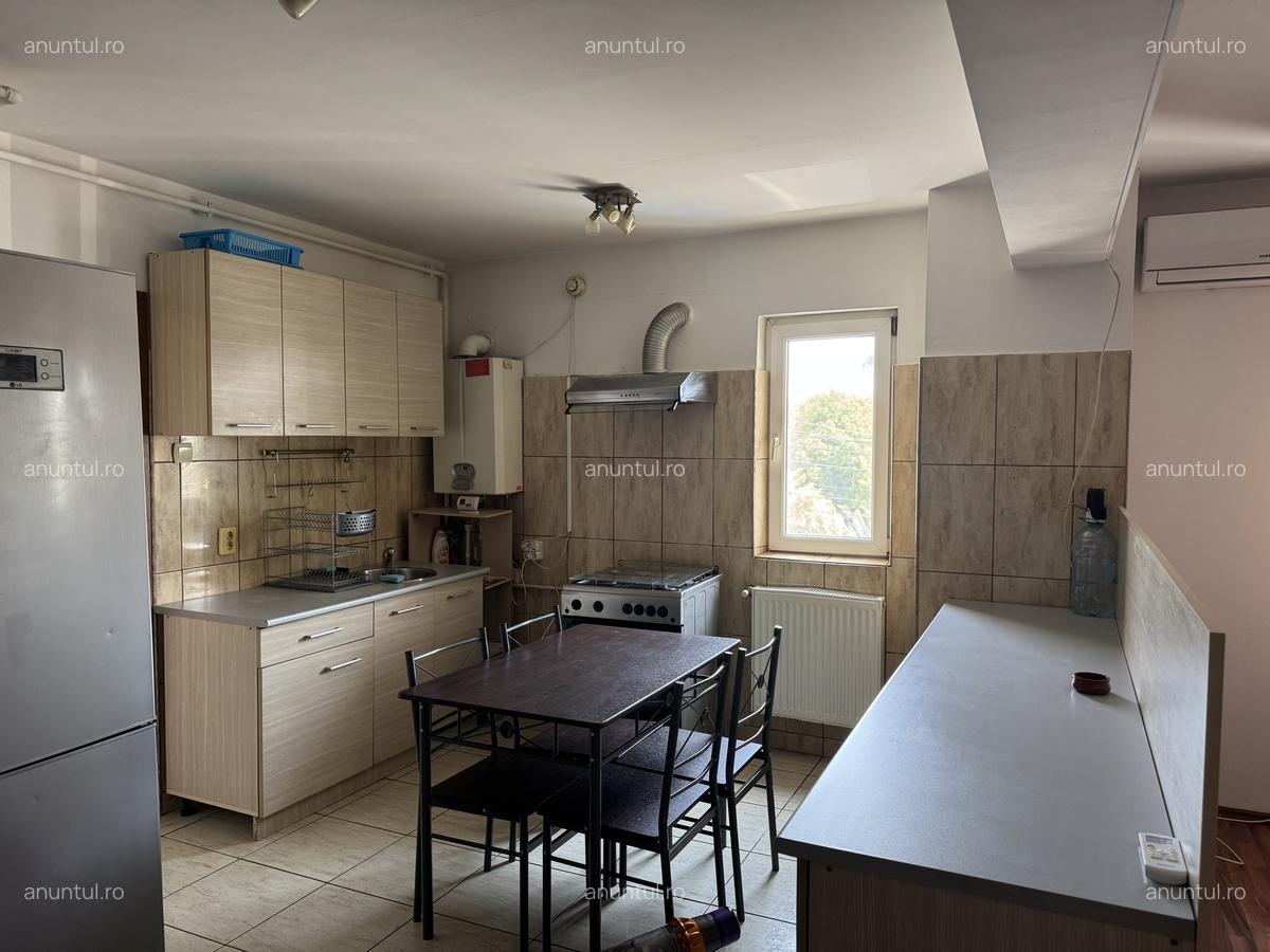 Nicolae Grigorescu, Salajan - 6