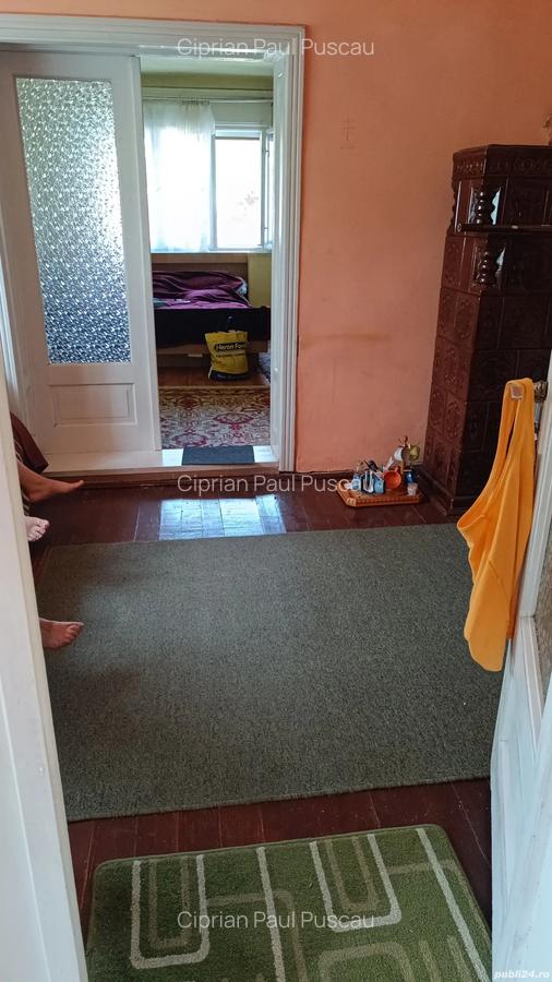 Casa cu gradina in Ale?d - 7