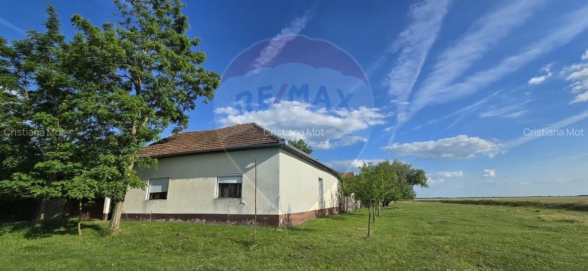 Casa  cu livada 2880 mp in Adea la 4km de Chisineu-Cris - 13