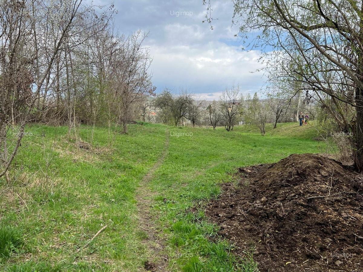 Breaza - str.Plaiului, Coasta Berzei nr.54, teren 1400 mp - 6