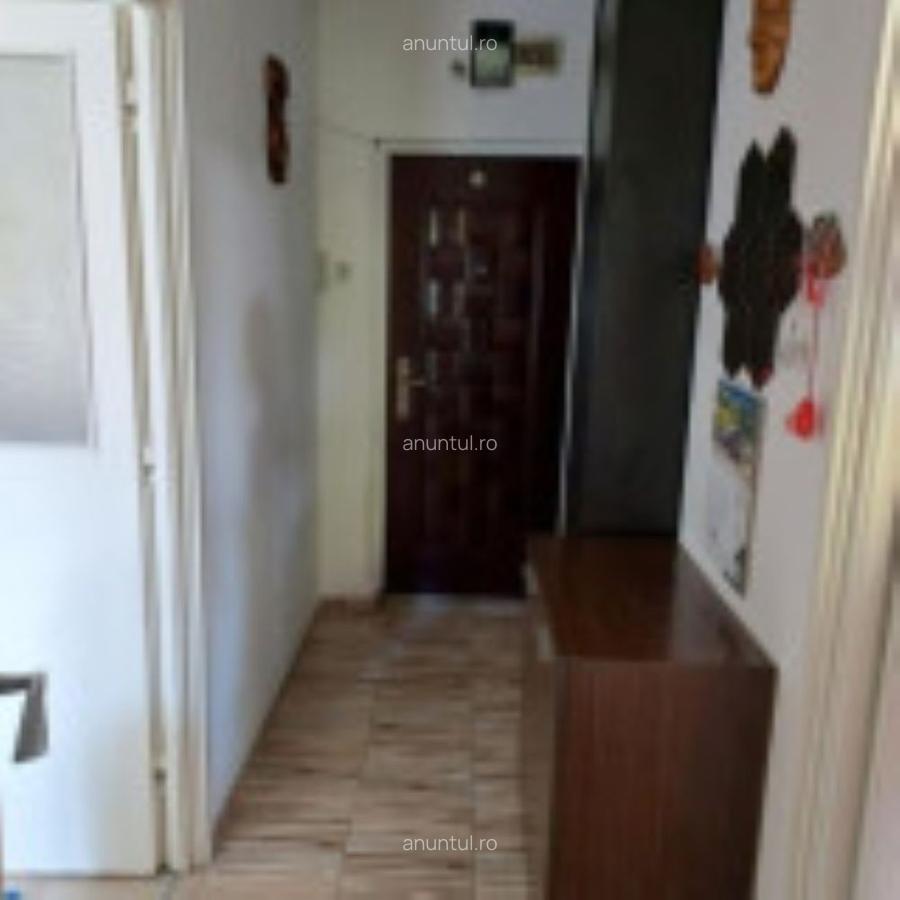 Ion Mihalache 2 camere - 5