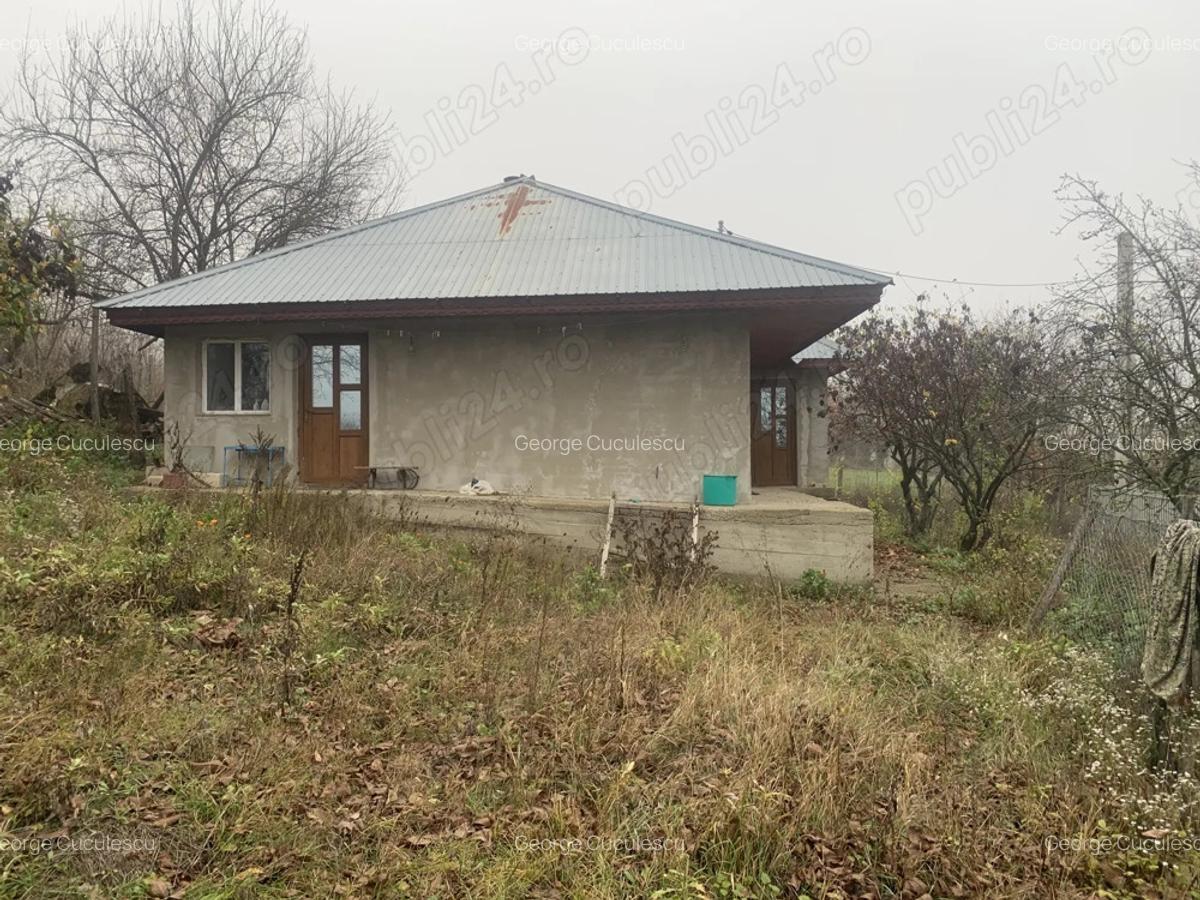 Casa batraneasca renovata de vanzare - 4
