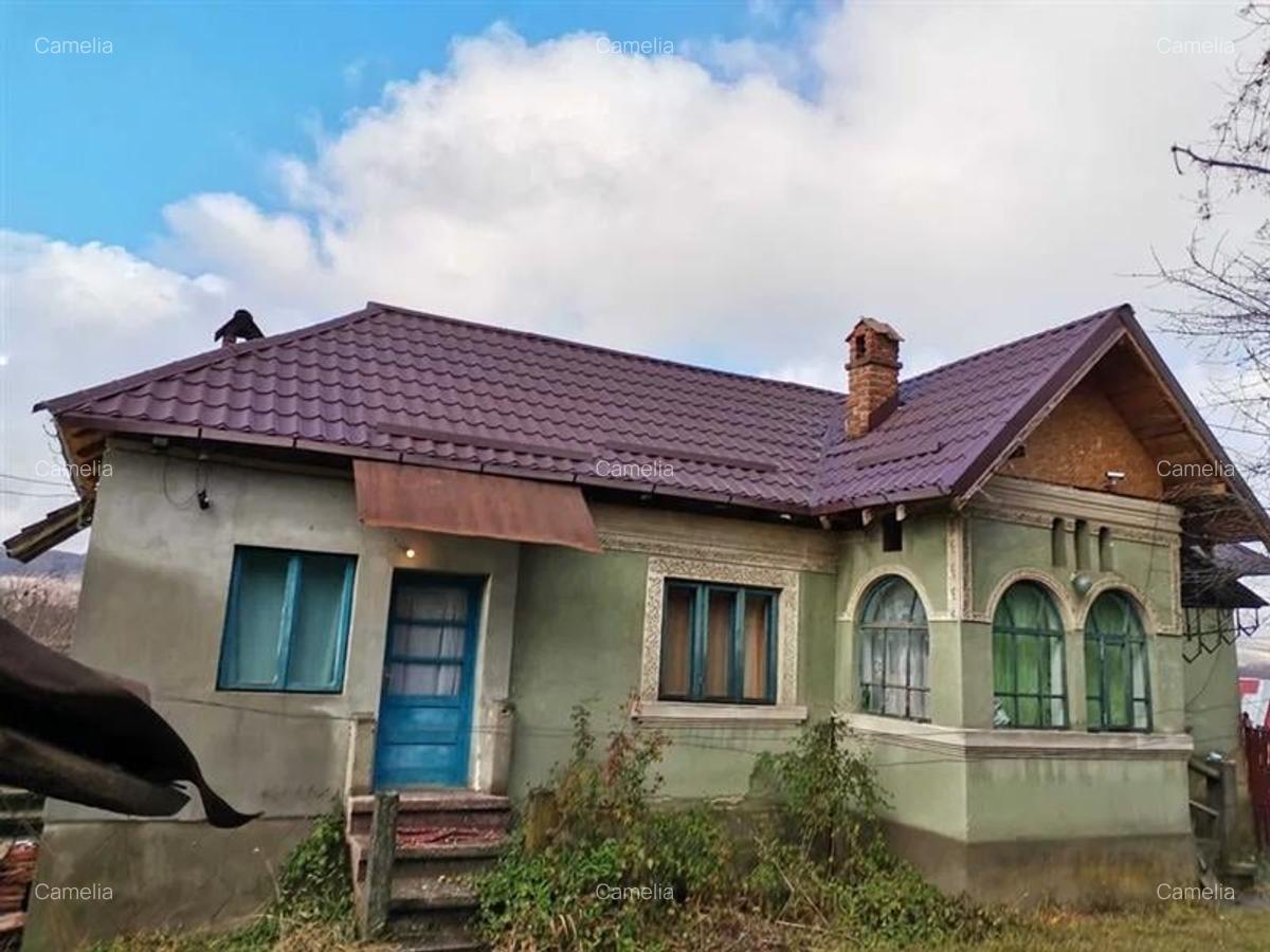 Casă cu 3500 mp Teren, Schitu-Golești, Argeș! - 6