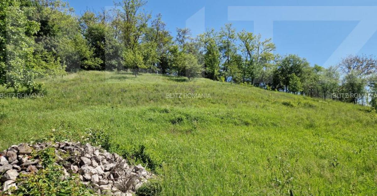 Casa de Familie | 175 mp + Curte 3166 mp | Tatara?ti, B - 13