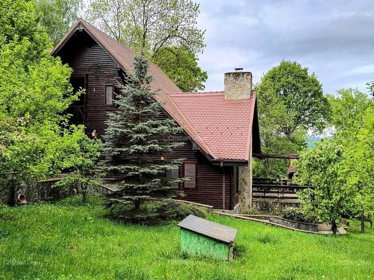 Casa de vacanta deosebita Breaza- Nistoresti - 3