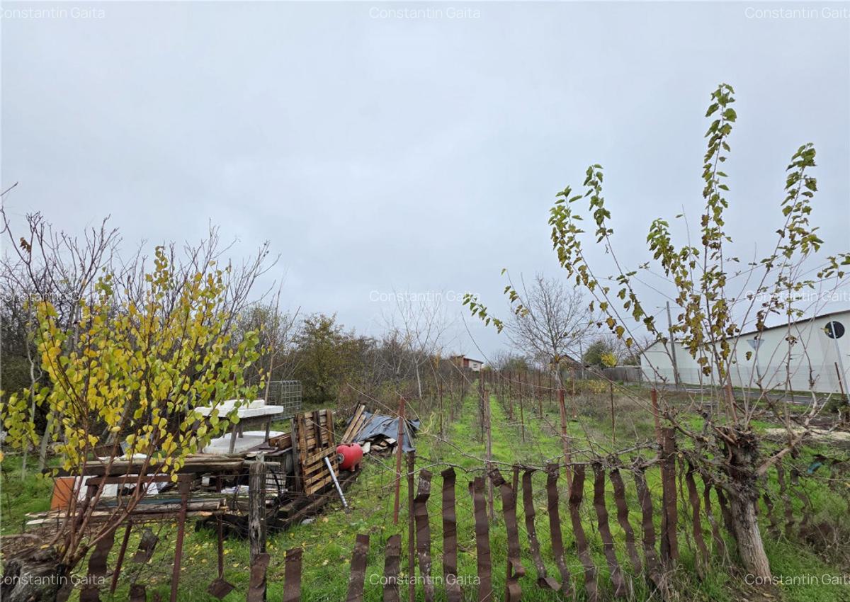 Teren Branesti - Str Oltului - 1600 mp - deschidere 16 ml - - 4