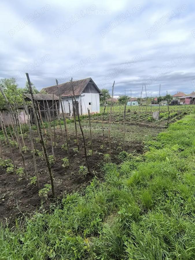 Casa de vanzare!! - 4
