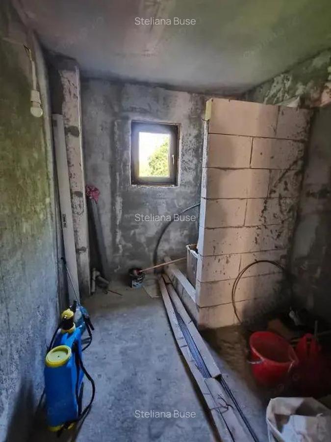 Casa P+M la gri de vanzare Rasova, comuna Bale?ti - 7