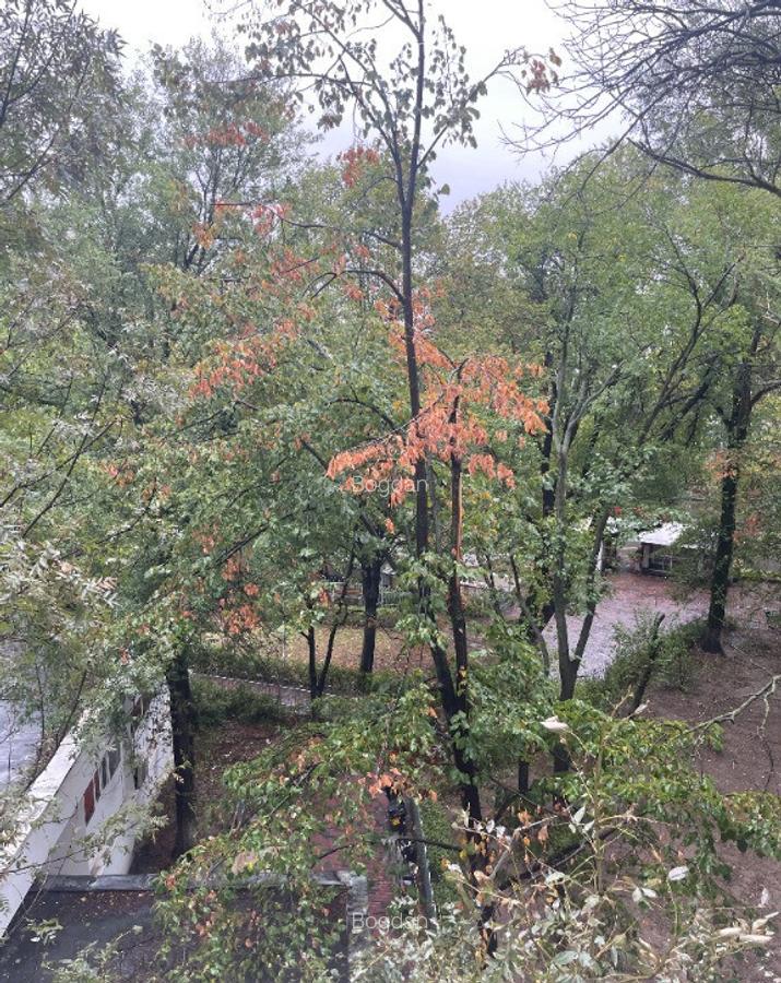Garsoniera de inchiriat 50 m de metrou Costin Georgian - 8