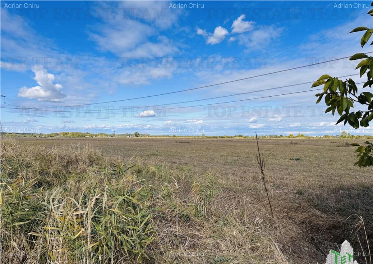 Teren 30 hectare, 500 m deschidere la A1, langa Bolentin Val - 13