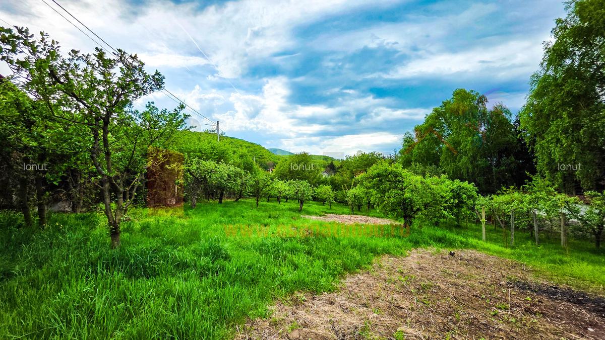 Teren 1.000 mp pentru Curti Constructii, Utilitati in Tocile |SkyVideo - 2