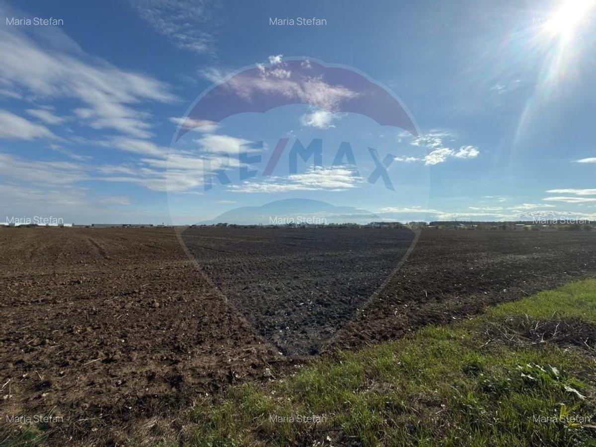 VANZARE Teren intravilan industrial BUFTEA/Strada Milano/Autostrada A0 - 3