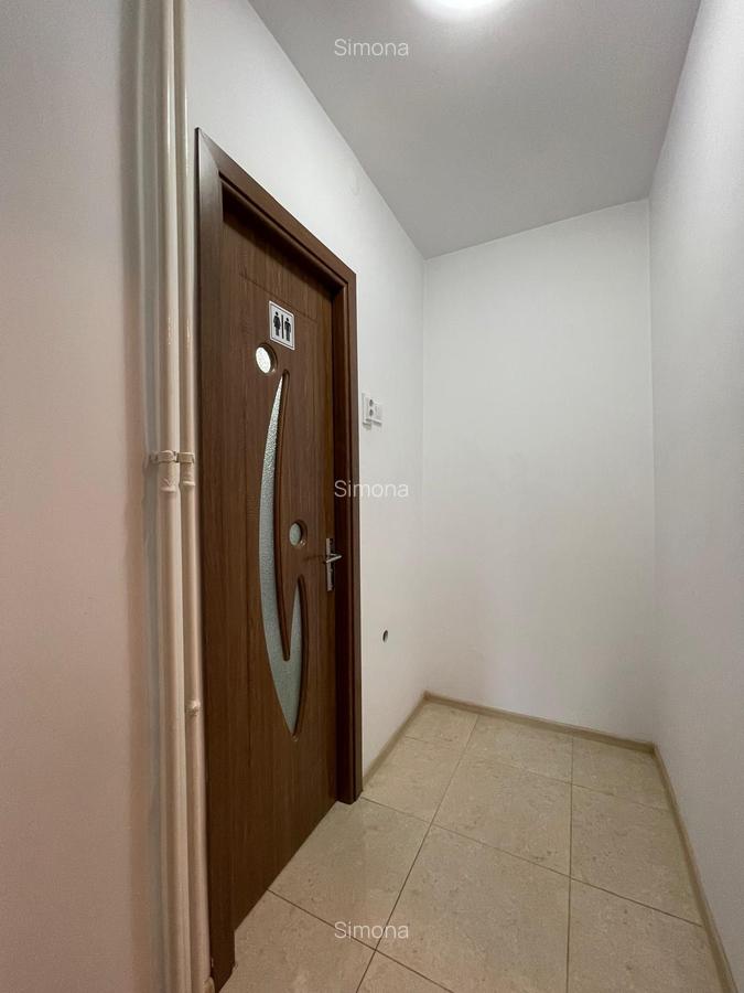 Exclusivitate - Bd. Al. Lapusneanu, apartament 2 camere, etaj 2, centrala pe gaz - 18
