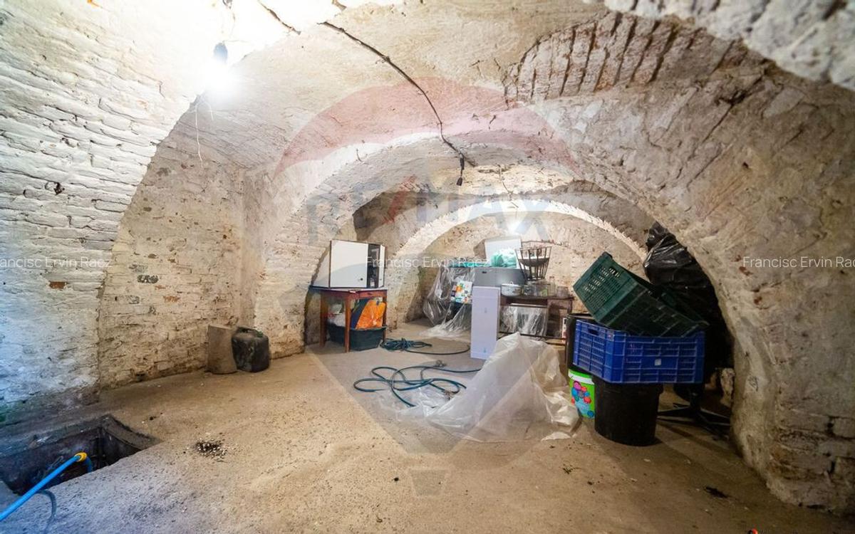 Imobil renovat, 2 apartamente, gradina ?i garaj Turnu - 18