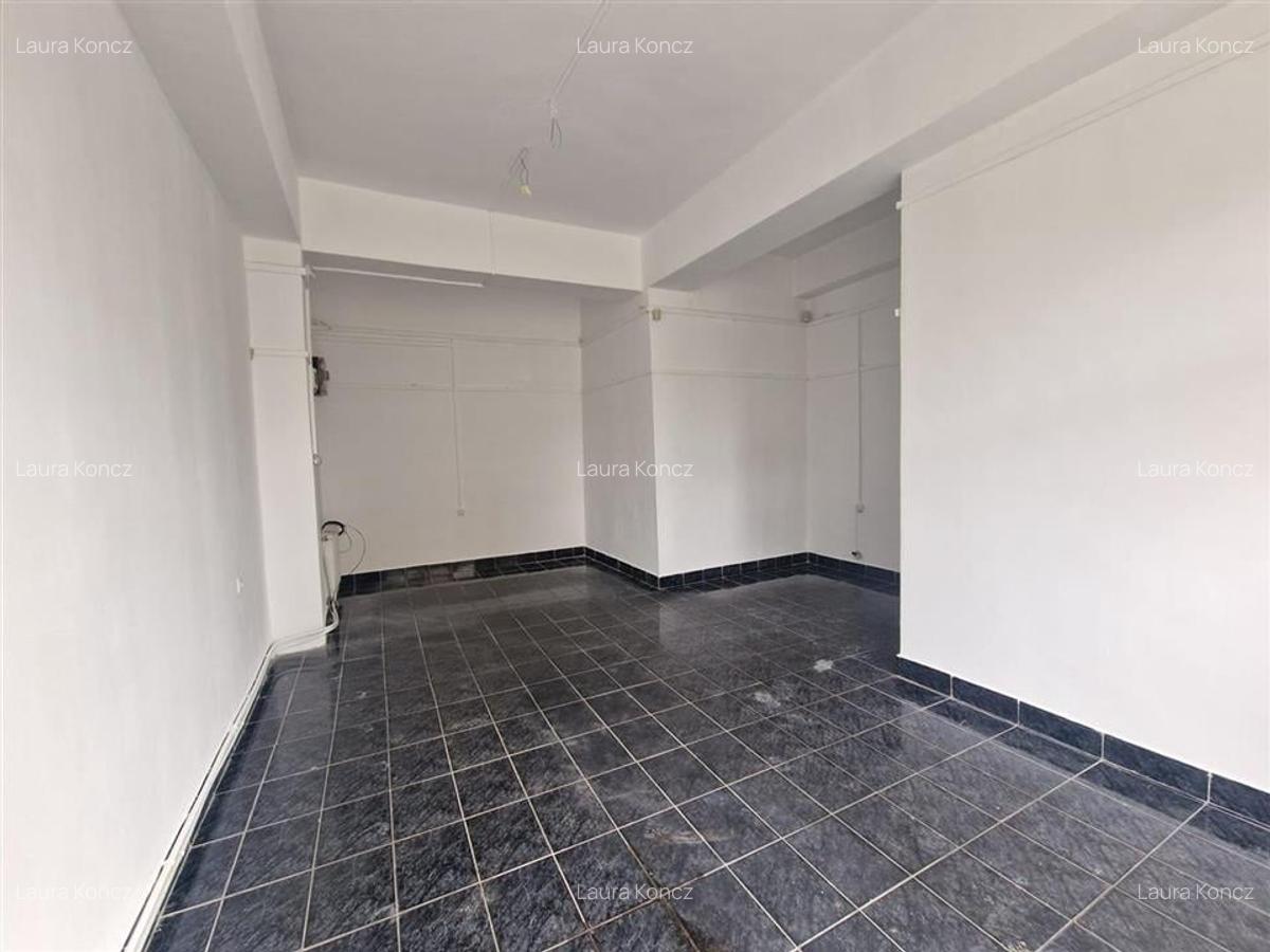 RECO spatiu comercial Nufarul - 1