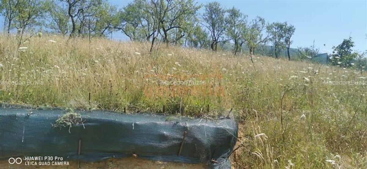 De vanzare casa si grajd +3000/? teren livada in Sumurducu - Sanpaul - 9