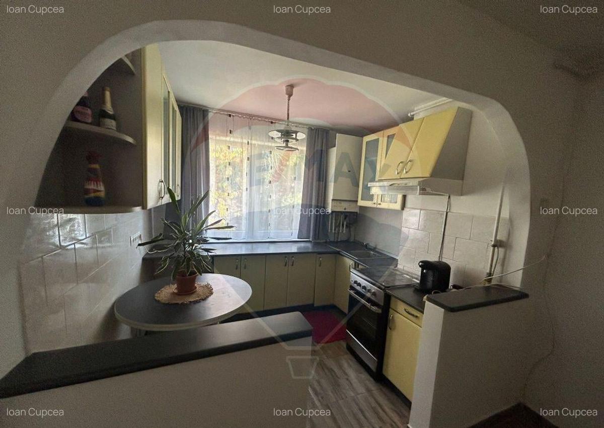 Apartament cu 3 camere de inchiriat zona B.S. Delavrancea - 2