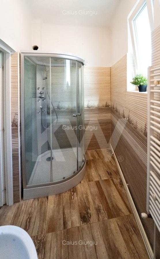 Casa pe un singur nivel cu 3 camere+pivnita. Pod si curte-Zona Sub Arini - 17