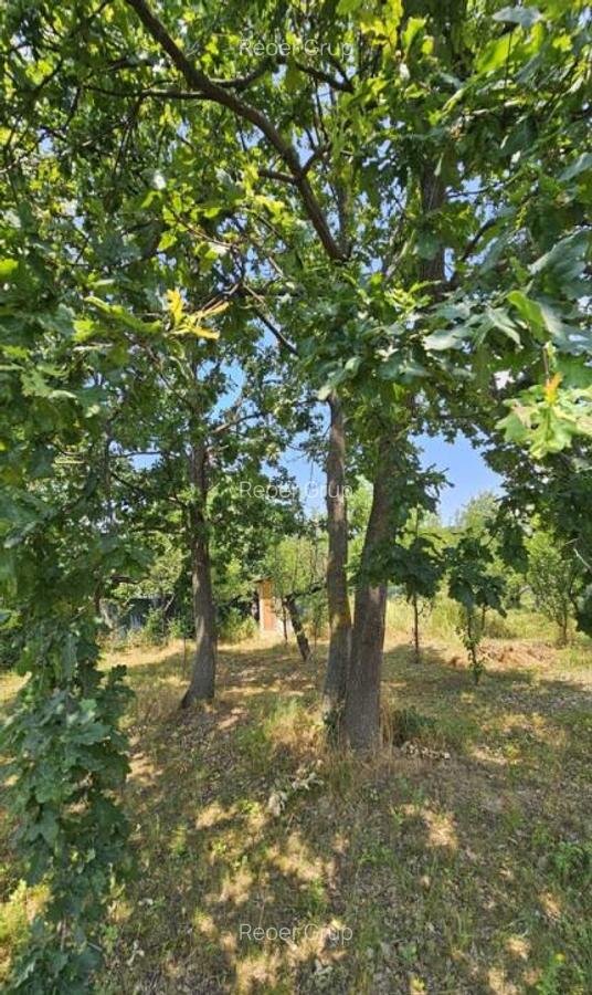 Intravilan 572 mp , loc de casa , zona padure Baicoi Prahova - 12