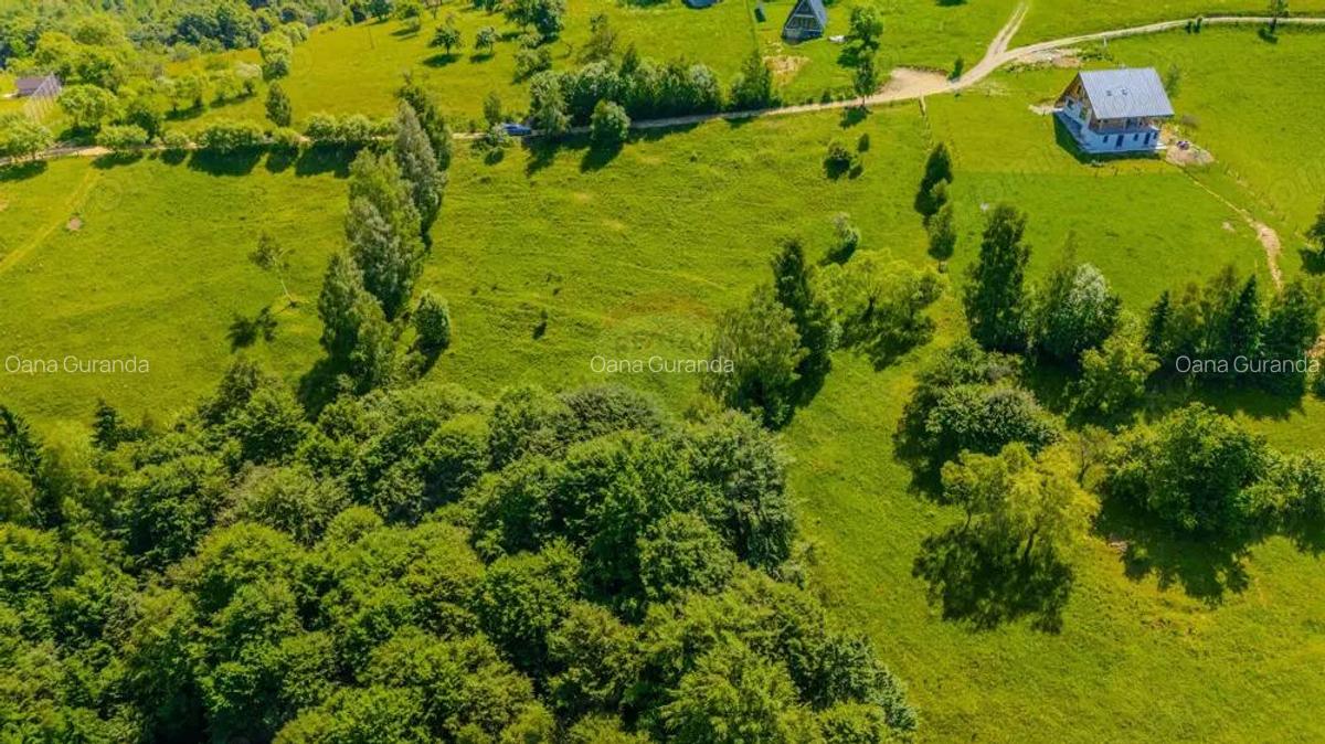 Teren extravilan 2,000mp Pestera / cabana vacanta/natura - 10