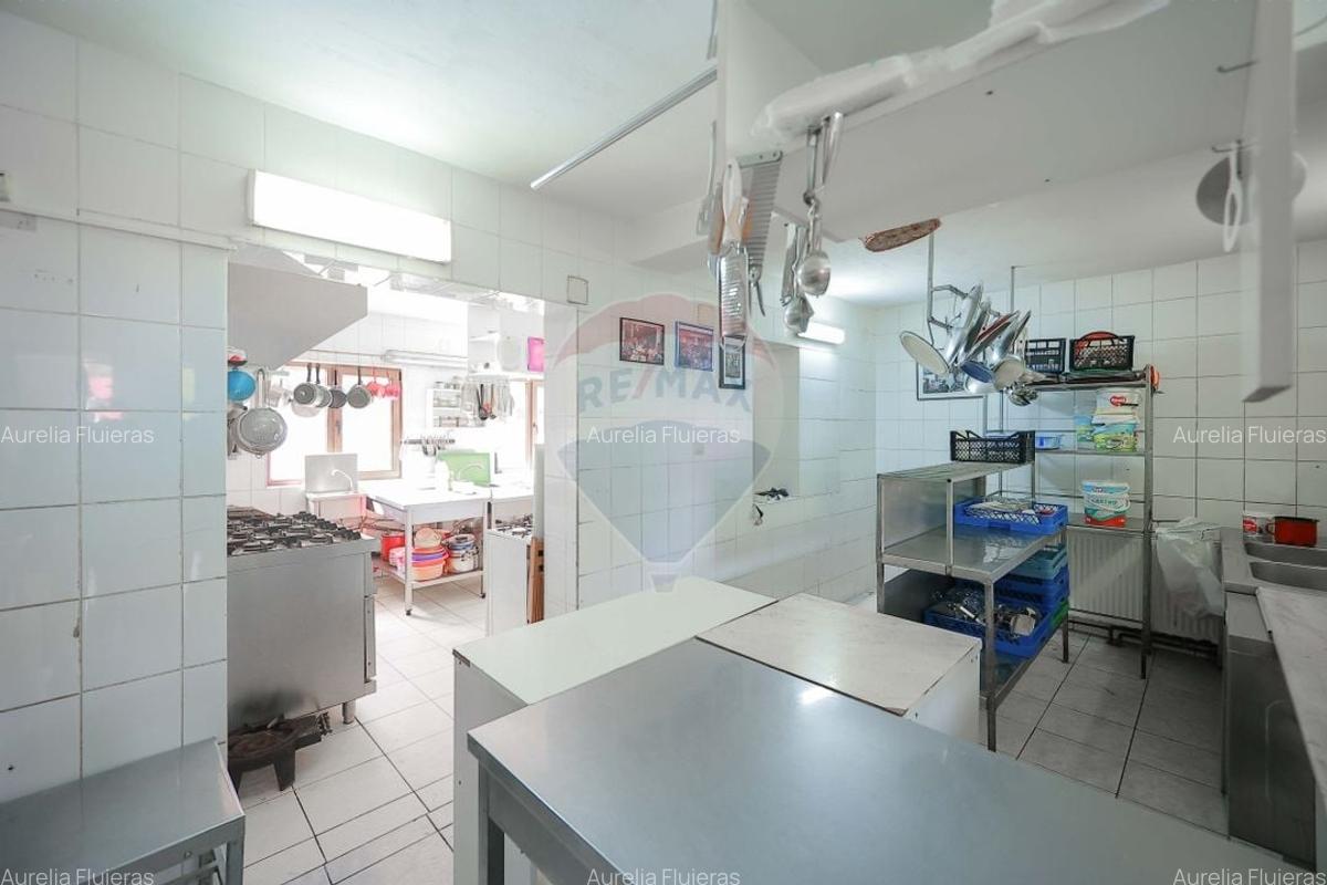 Oportunitate de investitie, Restaurantul Piatra Graitoare,Vartop,Bihor - 19