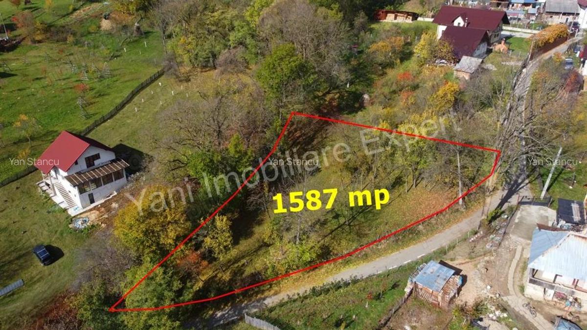 Teren de vanzare in comuna Arefu, jude? Arge?. - 1