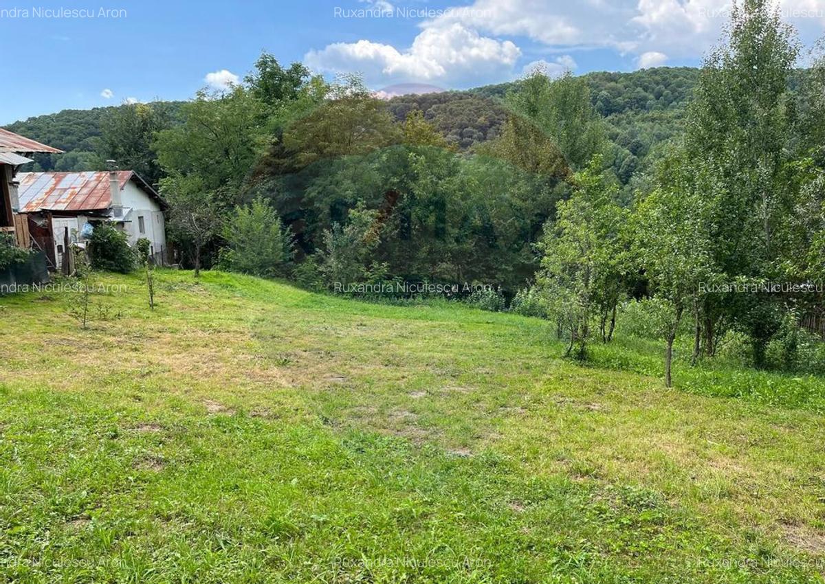 Teren intravilan (fanea?a) de vanzare 2231 mp, Te... - 3