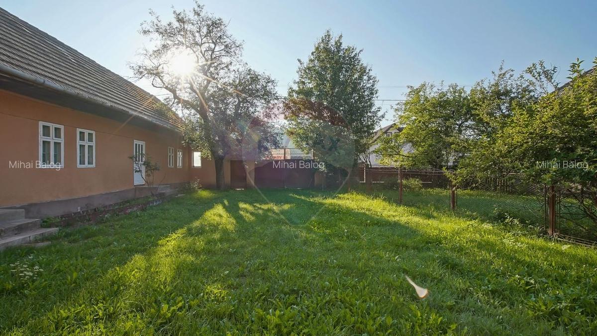 Liniste, aer curat si pamant bun - 7255 mp in Vama Buzaului - 6