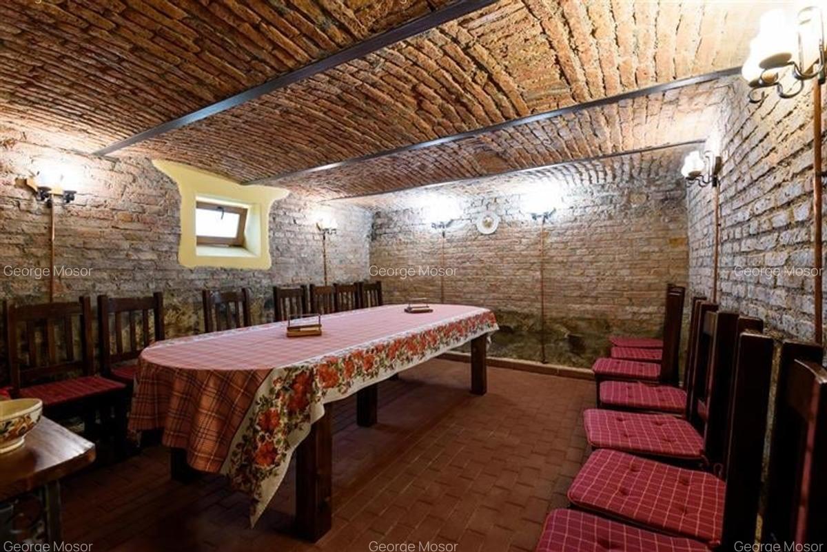 Proprietate nobiliara, cu influente moderne, Prejmer, Brasov- rezidential/ comer - 18