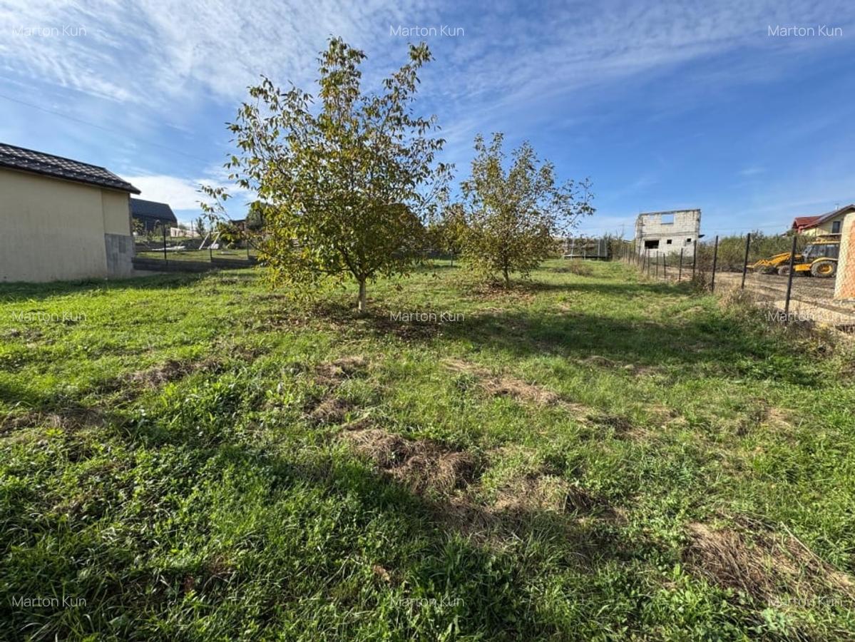 Vanzare teren de constructii intravilan, Campenesti, 1000 mp. - 3