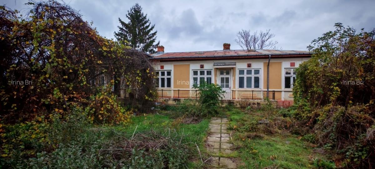 Casa locuibila cu 3 camere, 1700 mp teren deschidere 30 m, DOMNESTI - 1