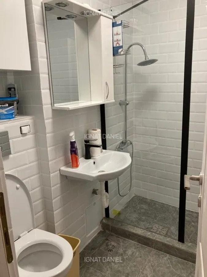 Apartament cu 1 camera, decomandat, etajul 4/9, zona Tatarasi - 3