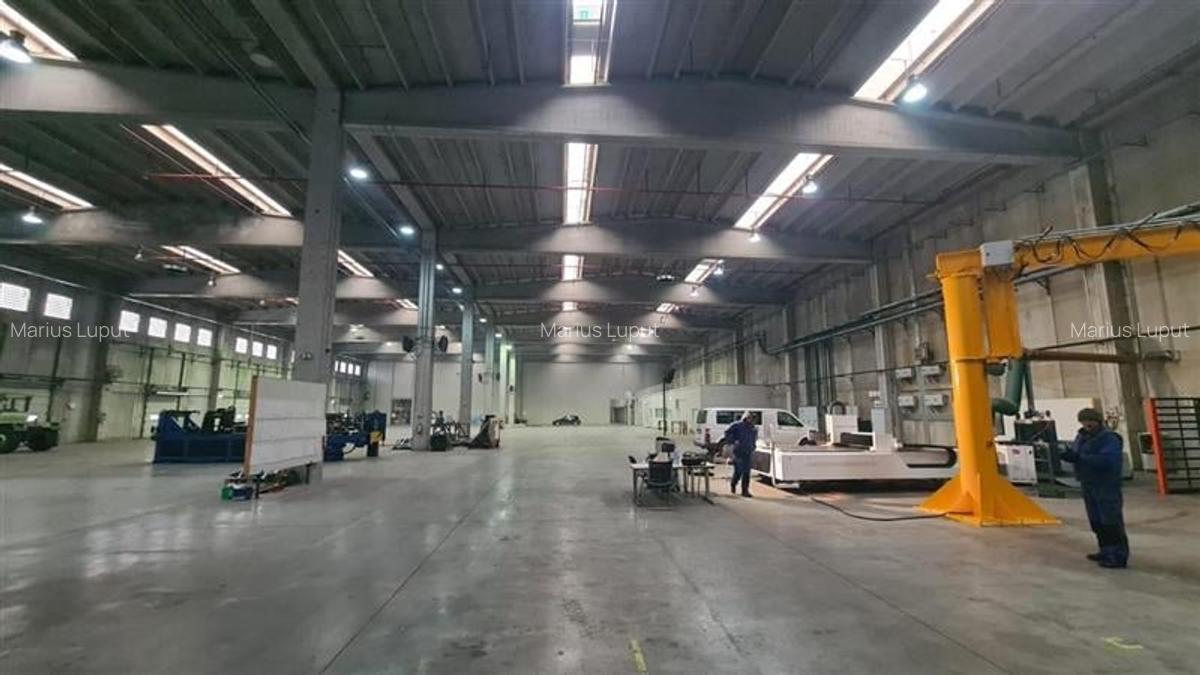 Hala industriala 6000mp, curent 1MW, Timisoara Vest - 5