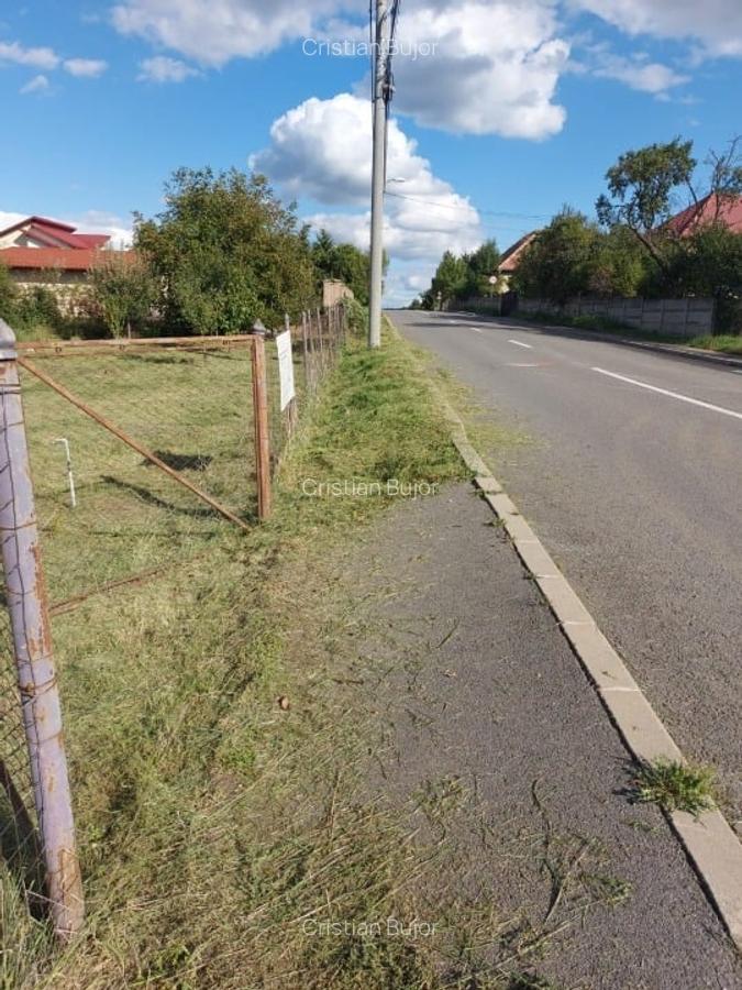 Vând teren cu PUZ 1000 mp Mihai Românul - 3