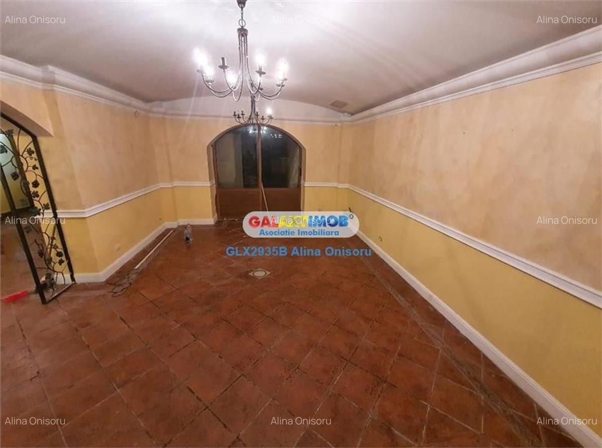 Spatiu comercial 100 mp Moxa Victoriei - 6