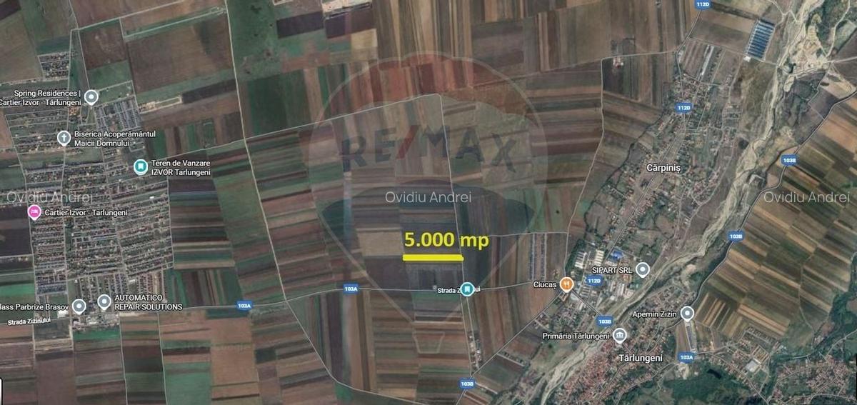 Teren Extravilan 5.000 mp Tarlungeni / Strada Zizinului - 2