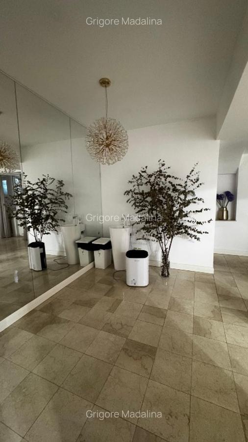 Spațiu comercial, 200 mp în Primăverii - 6