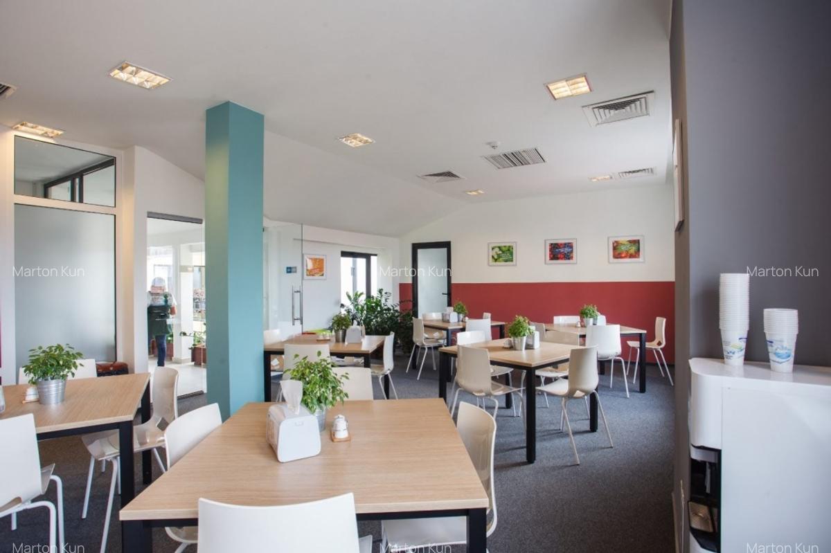 Inchiriere spatiu de Birouri 140 mp. Ultracentral Cluj-Napoca - 6