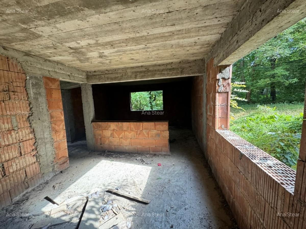 Vanzare casa la rosu Sfantu Ilie langa Caminul Cultural - 300 mp teren! - 10