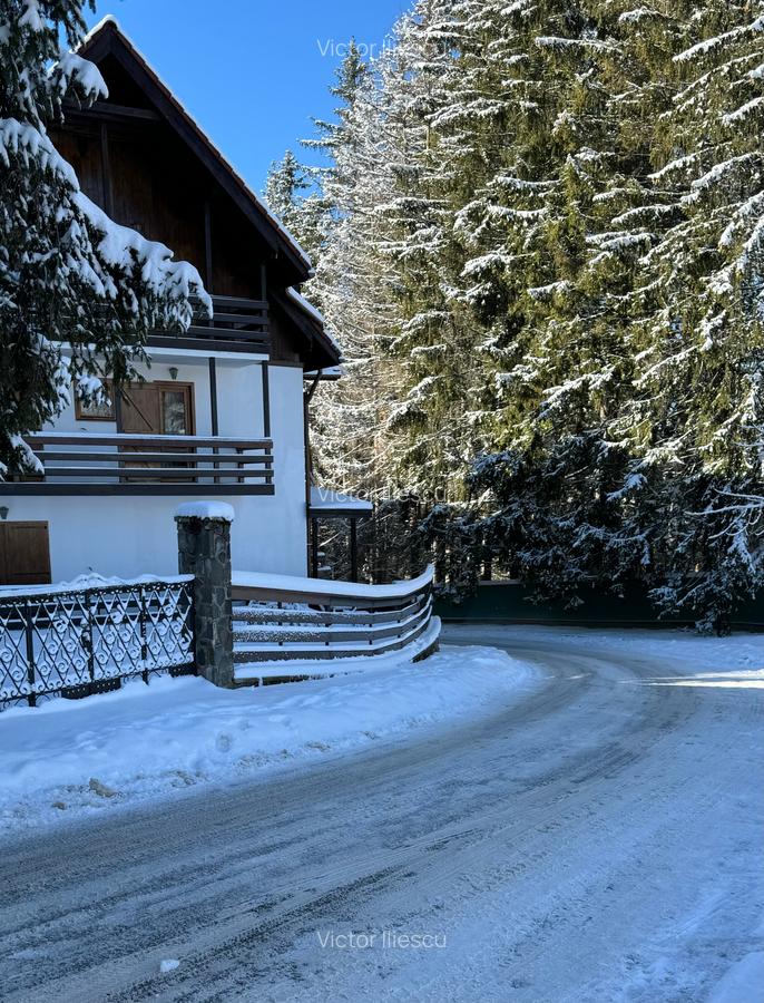 Teren Cioplea Predeal - 3