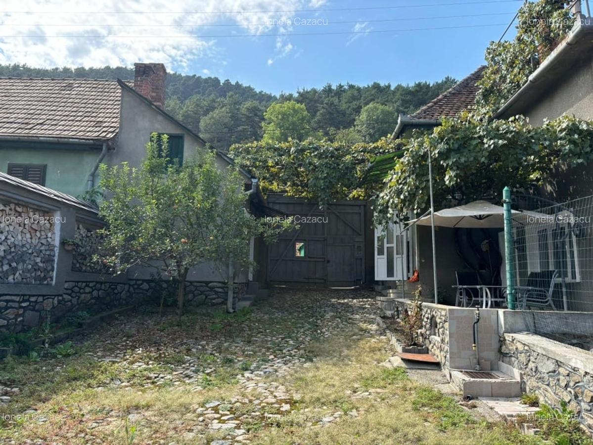 Casa in Marginimea Sibiului - Rasinari, jud. Sibiu - 19