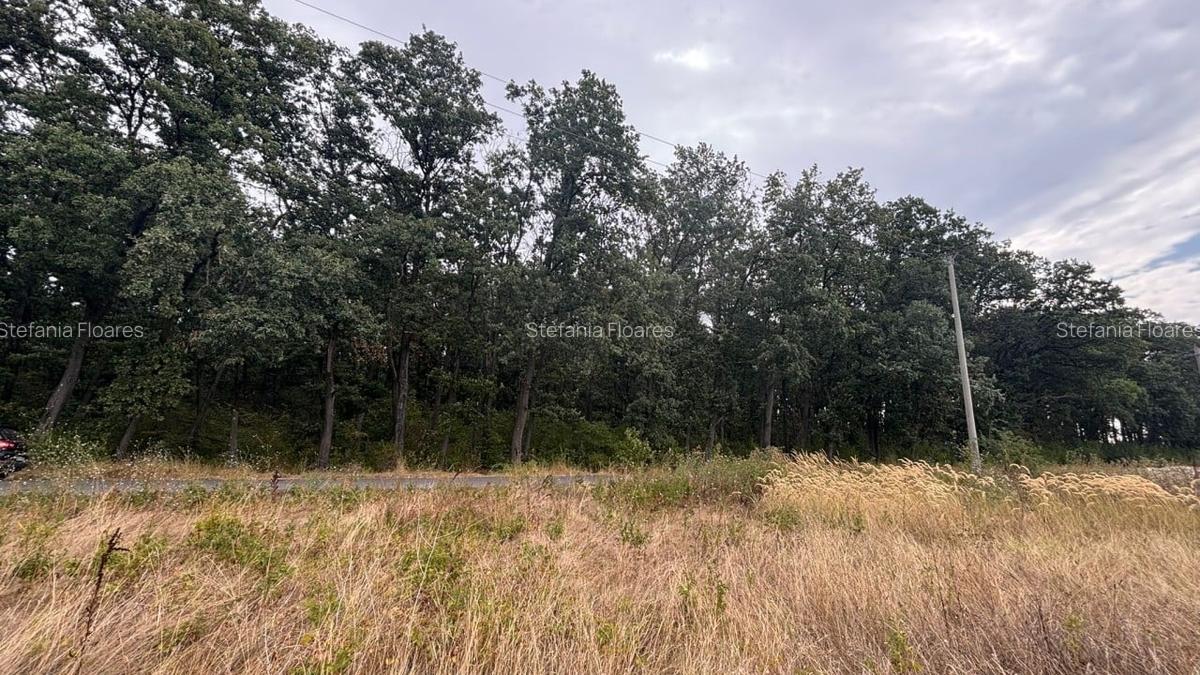REL4001187 Teren de vanzare 3500 mp la padurea Petresti - 1