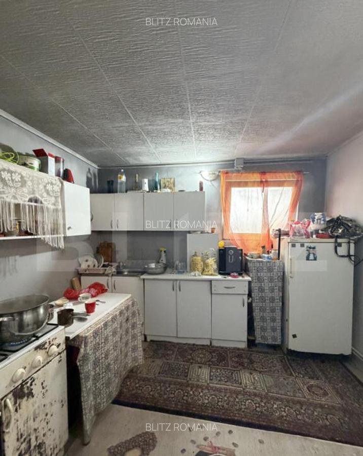 Teren intravilan agricol, sere, anexa agricola, 11500 mp ter - 12