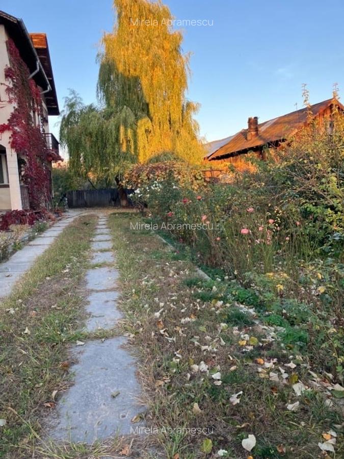 Proprietate completă în inima Dâmboviței – Casă, curte și livadă pe 1800 mp - 3