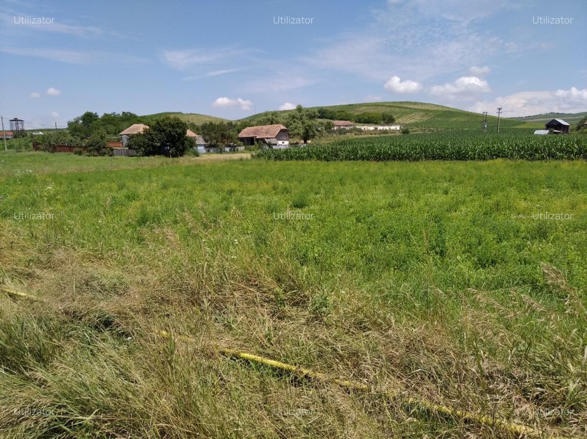 TEREN INTRAVILAN EXCEPTIONAL 6.600 MP LA MARGINEA SOSELEI ASFALTATE - IEFTIN ! - 3