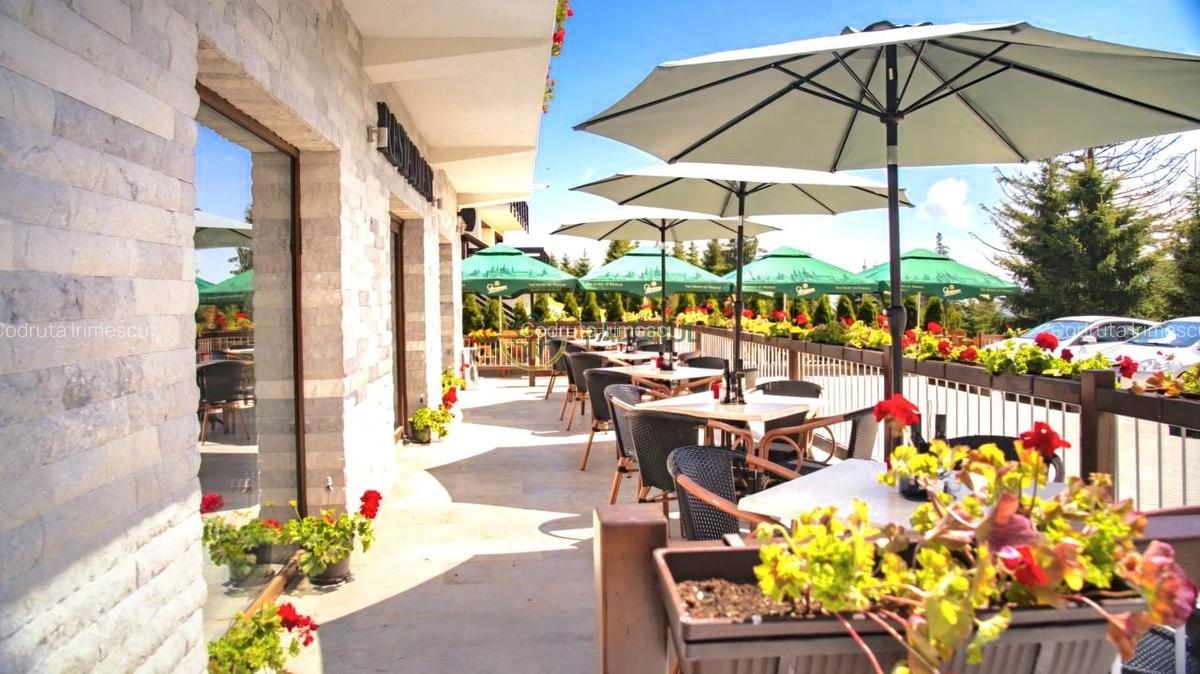 Afacere la Cheie - Pensiune 12 camere în Păltiniș - 7