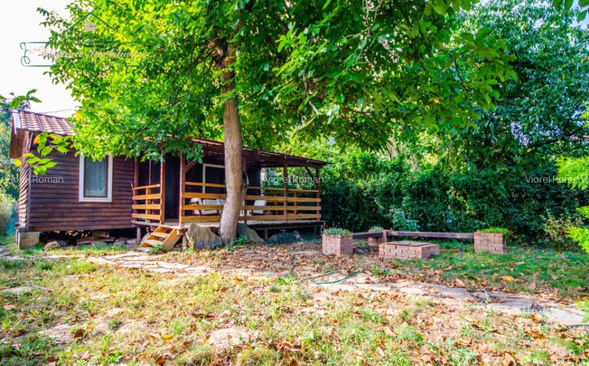 Casa de vacanta cu 3 camere, zona Insula Mures, Arad - 7 Casa de vacanta cu 3 camere, zona Insula Mures, Arad - 7