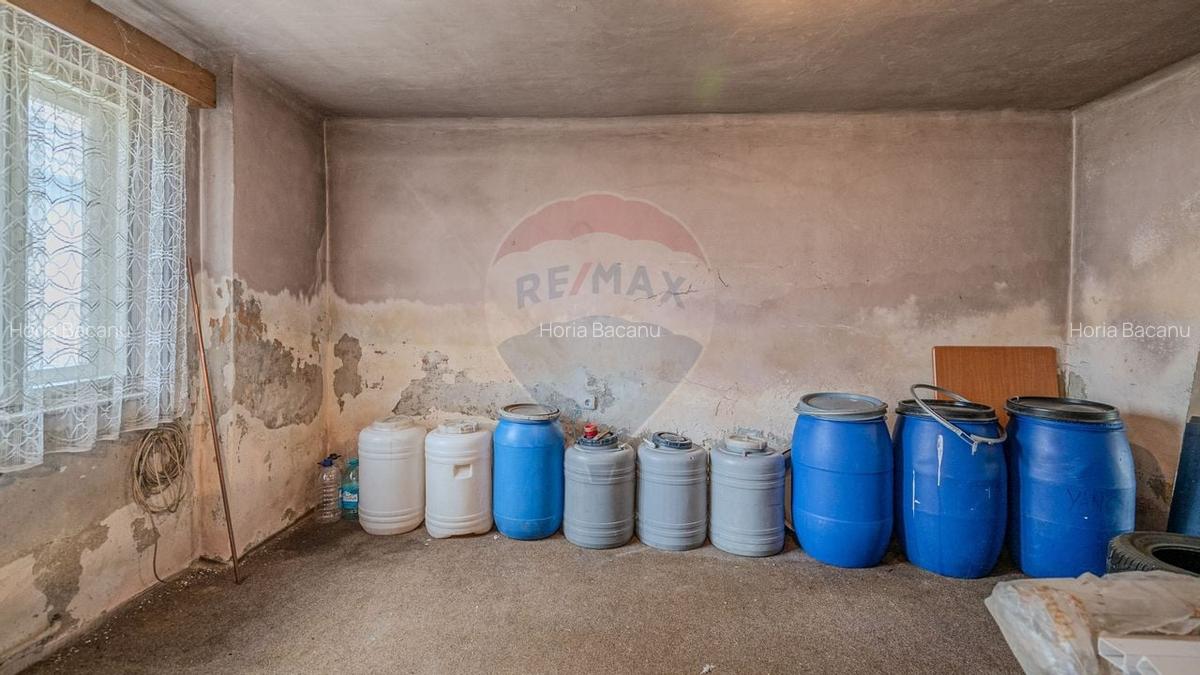 Comision 0 | Casa cu 3 camere, teren 1541 mp, livada, beci si garaj - 20